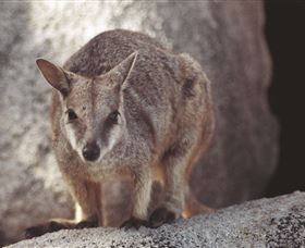 Arcadia At Magnetic Island - Accommodation Mt Buller 2