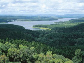 Accommodation Mt Buller