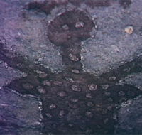 Quinkan Reserves Ancient Rock Art - Accommodation Mt Buller