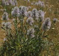 Terrick Terrick National Park - Accommodation Mt Buller