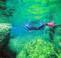 Piccaninnie Ponds Conservation Park - Accommodation Mt Buller