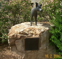 Dingo Statue - Accommodation Mt Buller