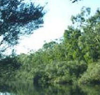 Crawford River Regional Park - Accommodation Mt Buller