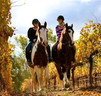 Billabong Ranch - Accommodation Mt Buller