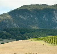 Langi Ghiran State Park - Accommodation Mt Buller