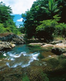 Cedar Creek Falls - Accommodation Mt Buller 1