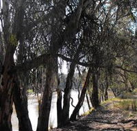Mia Forest Drives Narrandera - Accommodation Mt Buller