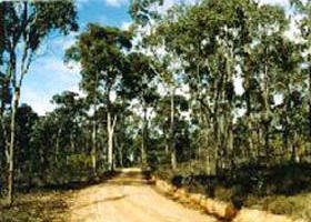Paddys Ranges State Park - Accommodation Mt buller 0