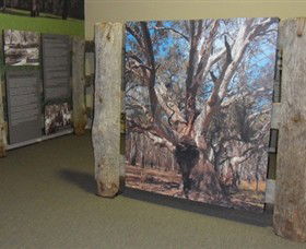 Barmah Forest Heritage And Education Centre - Accommodation Mt Buller 2