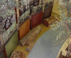 Barmah Forest Heritage And Education Centre - Accommodation Mt Buller 4