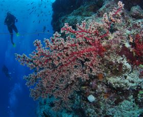  Accommodation Mt Buller