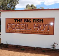 Big Fish Fossil Hut at Peak Hill - Accommodation Mt Buller