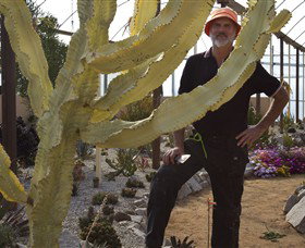 Cactus Country - Accommodation Mt Buller 0