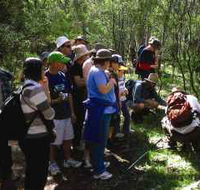 Warrumbungle National Park Discovery Program - Accommodation Mt Buller