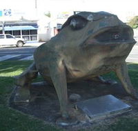 Big Cane Toad - Accommodation Mt Buller