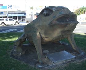 Big Cane Toad - Accommodation Mt Buller 0