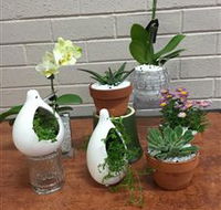 Cobram Florist - Accommodation Mt Buller