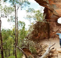 Pilliga National Park - Accommodation Mt Buller