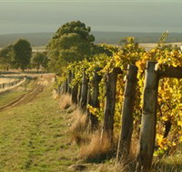 Captains Creek Organic Wines - Accommodation Mt Buller
