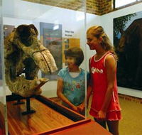 Australian Museum Diprotodon Exhibition - Accommodation Mt Buller