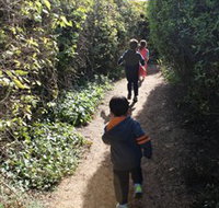 The Tangled Maze  Mistydowns Nursery - Accommodation Mt Buller