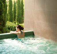 The Mineral Spa - Accommodation Mt Buller