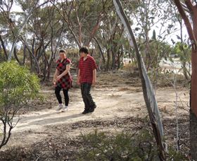 Tamma Parkland - Accommodation Mt buller 0