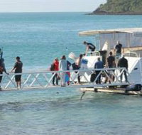 Scuba Diving on Keswick Island - Accommodation Mt Buller
