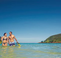 Snorkelling on Keswick Island - Accommodation Mt Buller