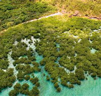 The Singapore Shipwreck Dive Site - Keswick Island - Accommodation Mt Buller