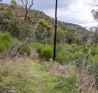 Lynchs loop trail - Accommodation Mt Buller