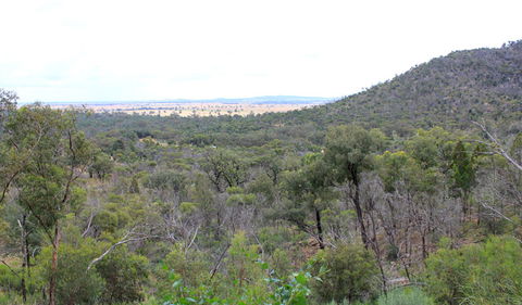 Ben Hall's Cave Walking Track - Accommodation Mt Buller 0