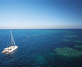 Bait Reef And Garys Lagoon Dive Site - Accommodation Mt Buller 0