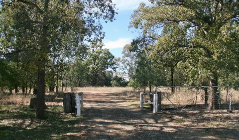 Terry Hie Hie Aboriginal Area - Accommodation Mt Buller 2