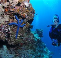 Lighthouse Bommie Dive Site - Accommodation Mt Buller