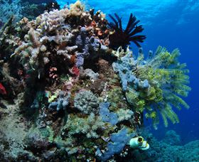 Two Towers Dive Site - Accommodation Mt Buller 2