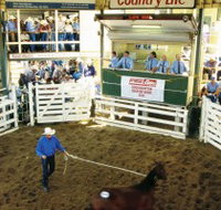 Gracemere Exhibition Complex - Accommodation Mt Buller