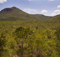 Kutini-Payamu Iron Range National Park CYPAL - Accommodation Mt Buller