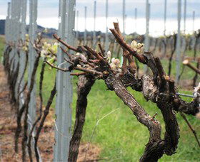 Stockmans Ridge Wines - Accommodation Mt Buller 1