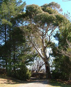 Habitat Vineyard - Accommodation Mt Buller 1