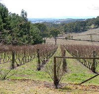 Habitat Vineyard - Accommodation Mt Buller
