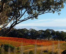 Bloodwood Estate - Accommodation Mt Buller 0