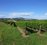 Hedberg Hill Wines