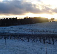 Charles Sturt University Winery - Accommodation Mt Buller