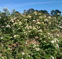 Huntley Berry Farm - Accommodation Mt Buller