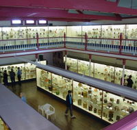National Museum of Australian Pottery