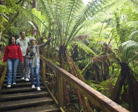 Otway Fly Treetop Adventures - Accommodation Mt Buller 0