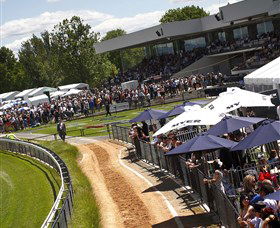 Thoroughbred Park Canberra Racing Club - Horse Racing In The Nations Capital - Accommodation Mt Buller 1