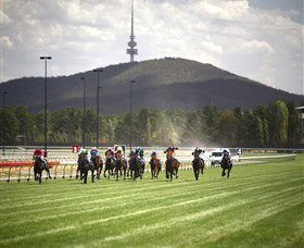 Thoroughbred Park Canberra Racing Club - Horse Racing In The Nations Capital - Accommodation Mt Buller 3