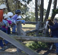 Harlow Park Horse Riding - Accommodation Mt Buller